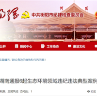 超時、超量、越界采砂！湖南通報6起生態環境領域違紀違法典型案例 2起與砂石有關！